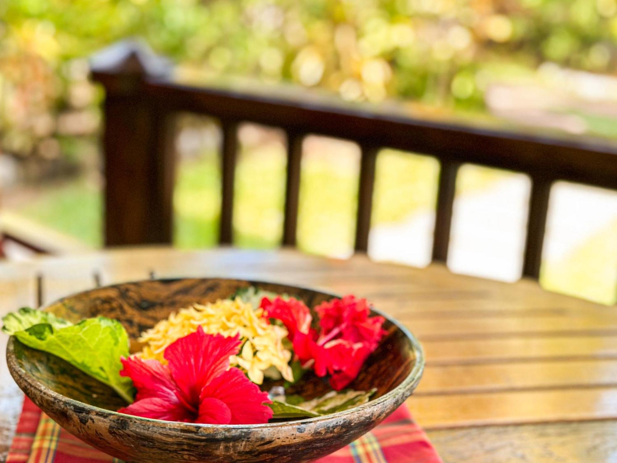 Cocotier Du Rocher Đảo Đảo La Digue Ngoại thất bức ảnh